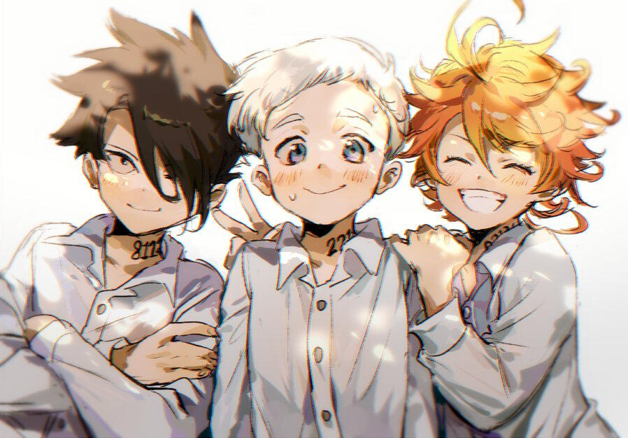 tpn trio